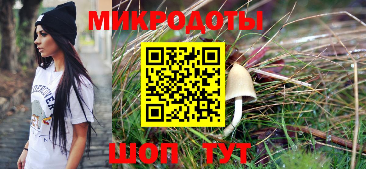 Сосновый Бор  Псилоцибиновые грибы Psilocybe  Галлюциногенные грибы мицелий  Вход с VPN 
