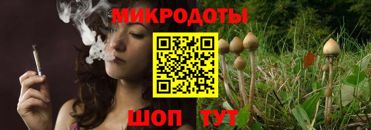 Галлюциногенные грибы ЛСД Сосновый Бор